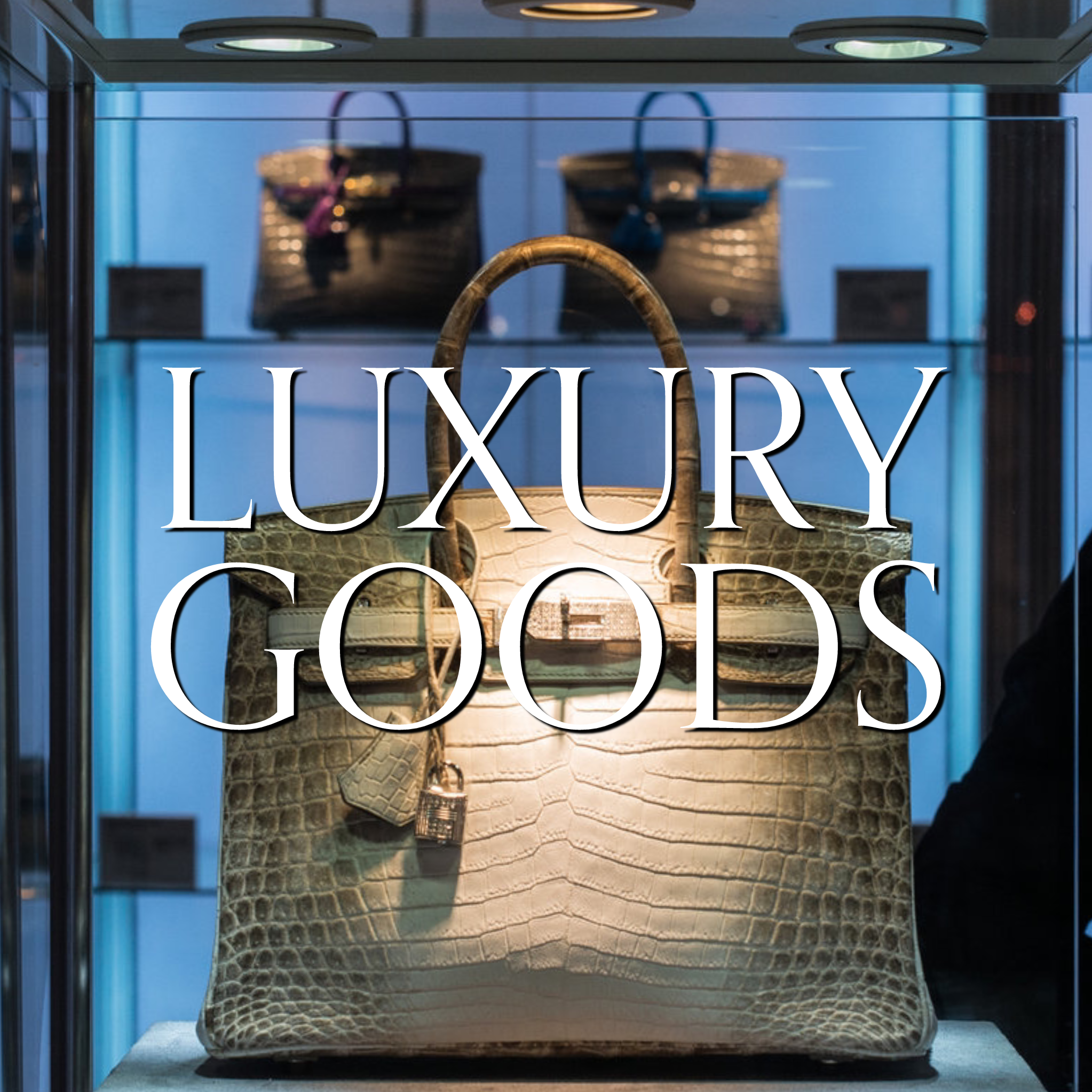 Luxury Goods & Show Room