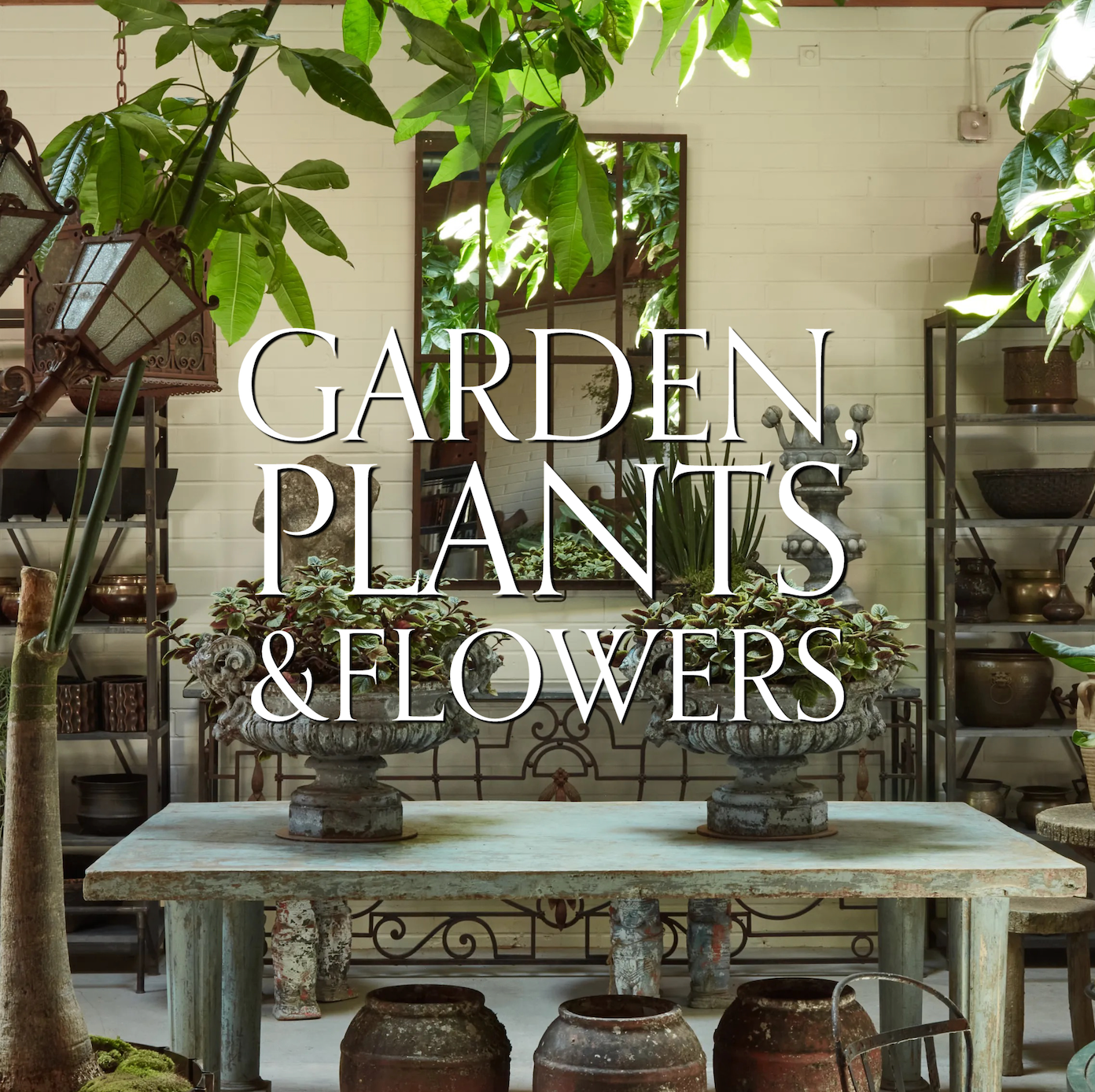 Garden, Plants & Flowers STUDIO