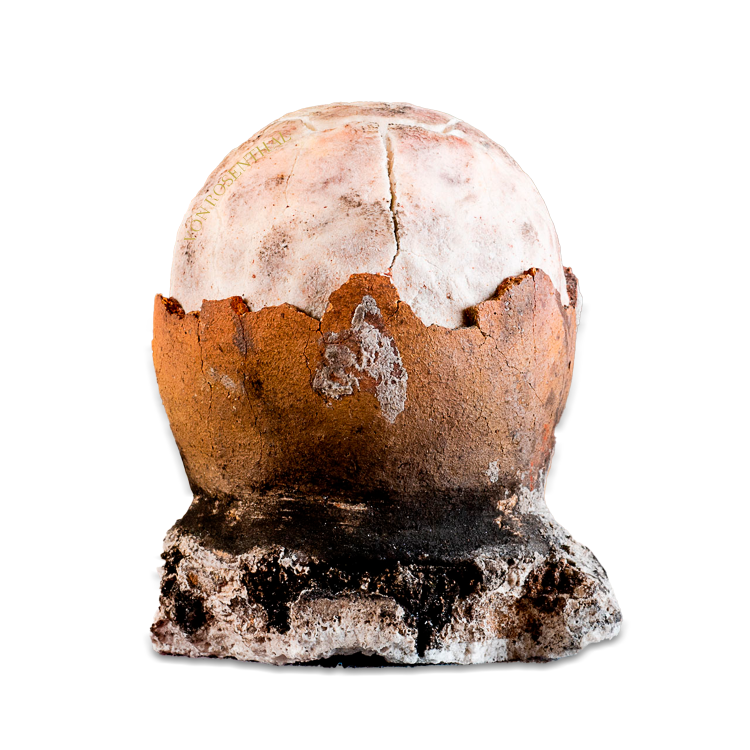 Asin Tibuok | The Artisanal "Dinosaur Egg" Sea Salt