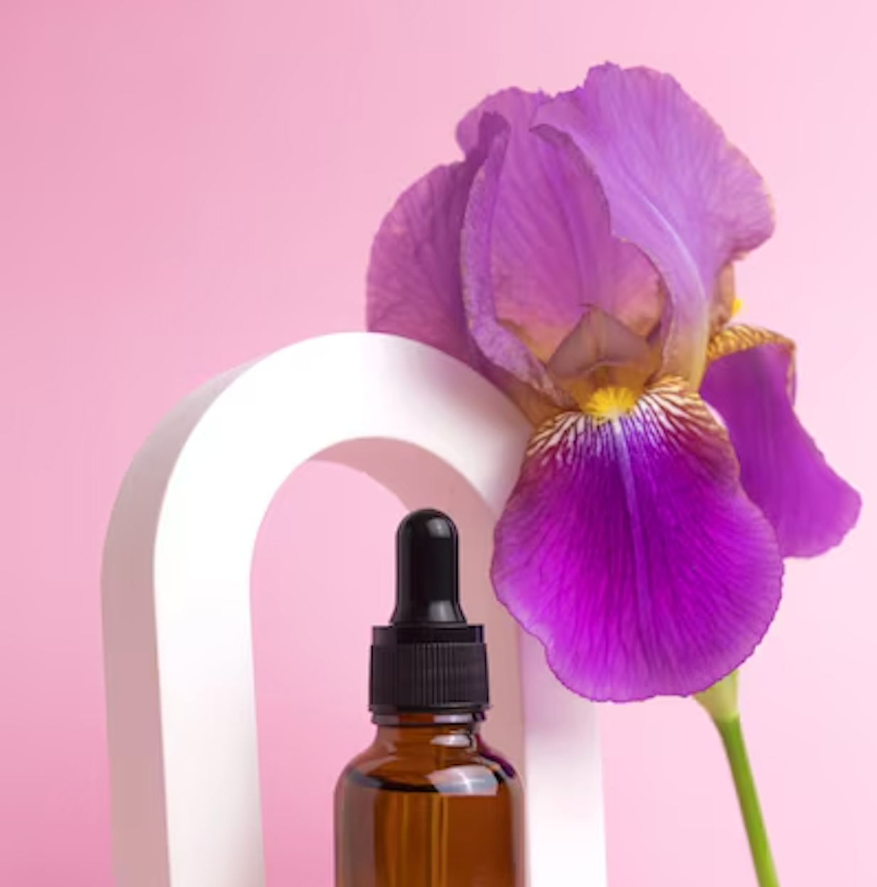 Alimento y elixir botánico para orquídeas | Nutre. Florece. Prospera.