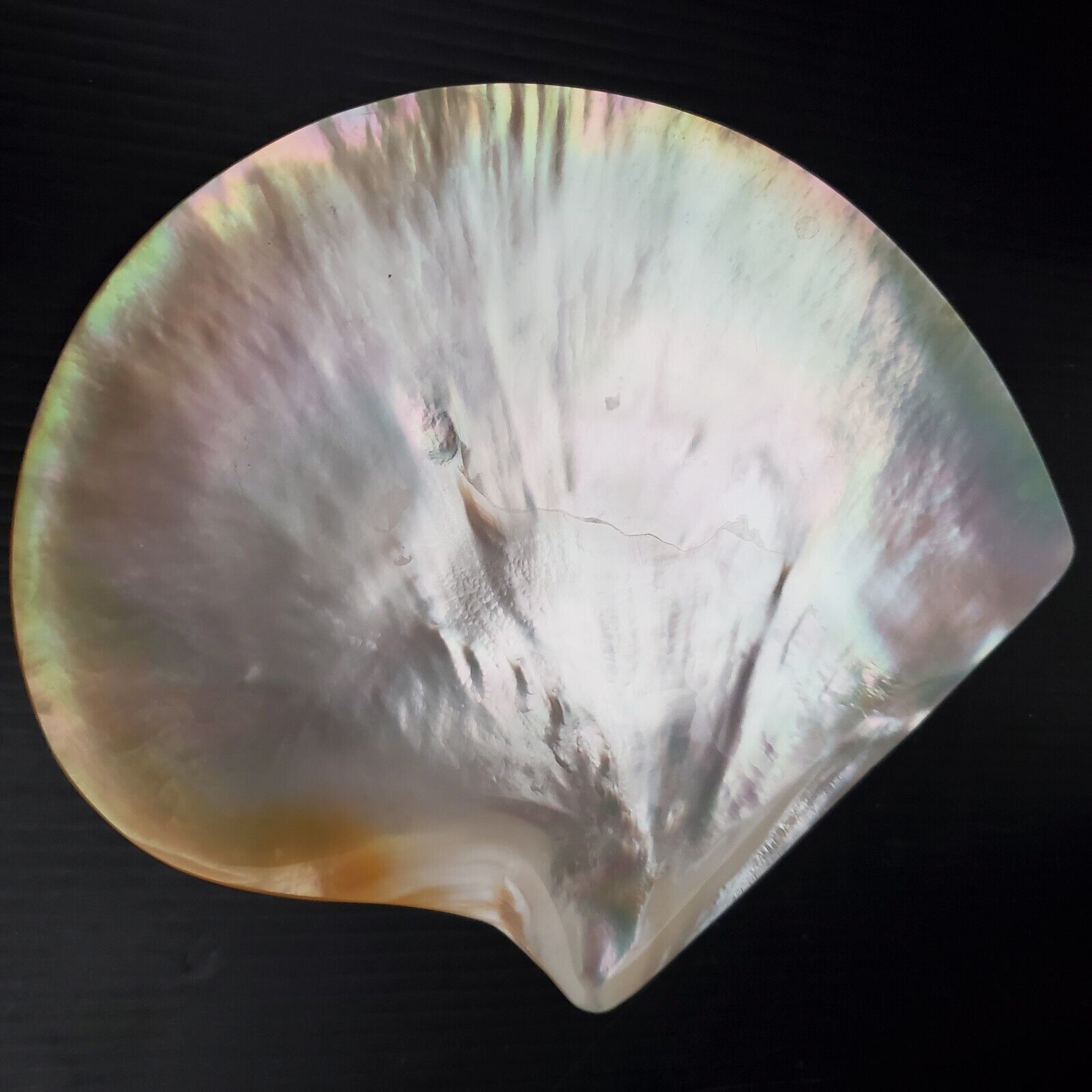 Caviar Serving Dish – Handcrafted Mother of Pearl Plate